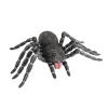 ARAIGNÉE NOIRE LATEX 46 X 28 CM