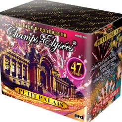 ARTIFICE COMPACT LE PETIT PALAIS 55S - F2