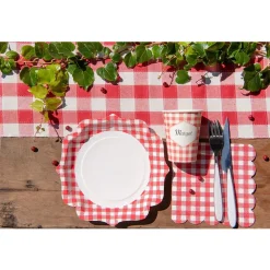 10 ASSIETTES CARTON ACCOLADES VICHY 21CM ROUGE