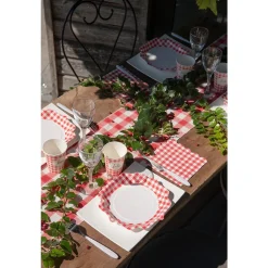 10 ASSIETTES CARTON ACCOLADES VICHY 21CM ROUGE