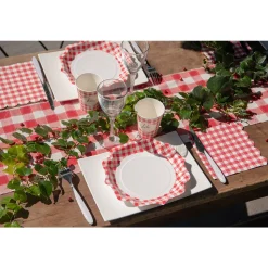 10 ASSIETTES CARTON ACCOLADES VICHY 21CM ROUGE