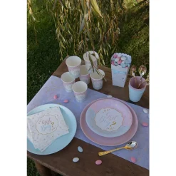 10 ASSIETTES CARTON BABY GENDER Ø22.5CM BICOLORE