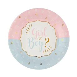 10 ASSIETTES CARTON BABY GENDER Ø22.5CM BICOLORE