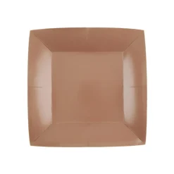 10 ASSIETTES CARTON BIO CARRÉES 23CM BRONZE