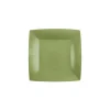 10 ASSIETTES CARTON BIO CARRÉES 18CM VERT OLIVE
