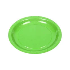10 ASSIETTES CARTON BIO ROND 20CM VERT