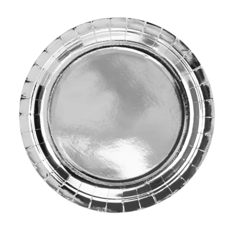6 ASSIETTES CARTON 23CM ARGENT