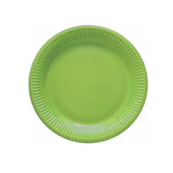 8 ASSIETTES CARTON 18CM - PISTACHE