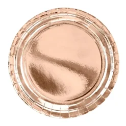 6 ASSIETTES CARTON 23CM ROSE GOLD
