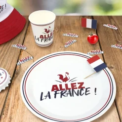 6 ASSIETTES CARTON COCORICO FRANCE SUPPORTER 23CM