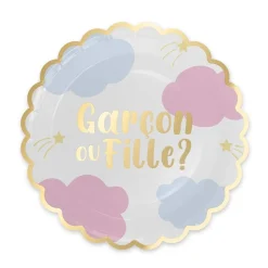 6 ASSIETTES CARTON GENDER REVEAL 23CM BICOLORE