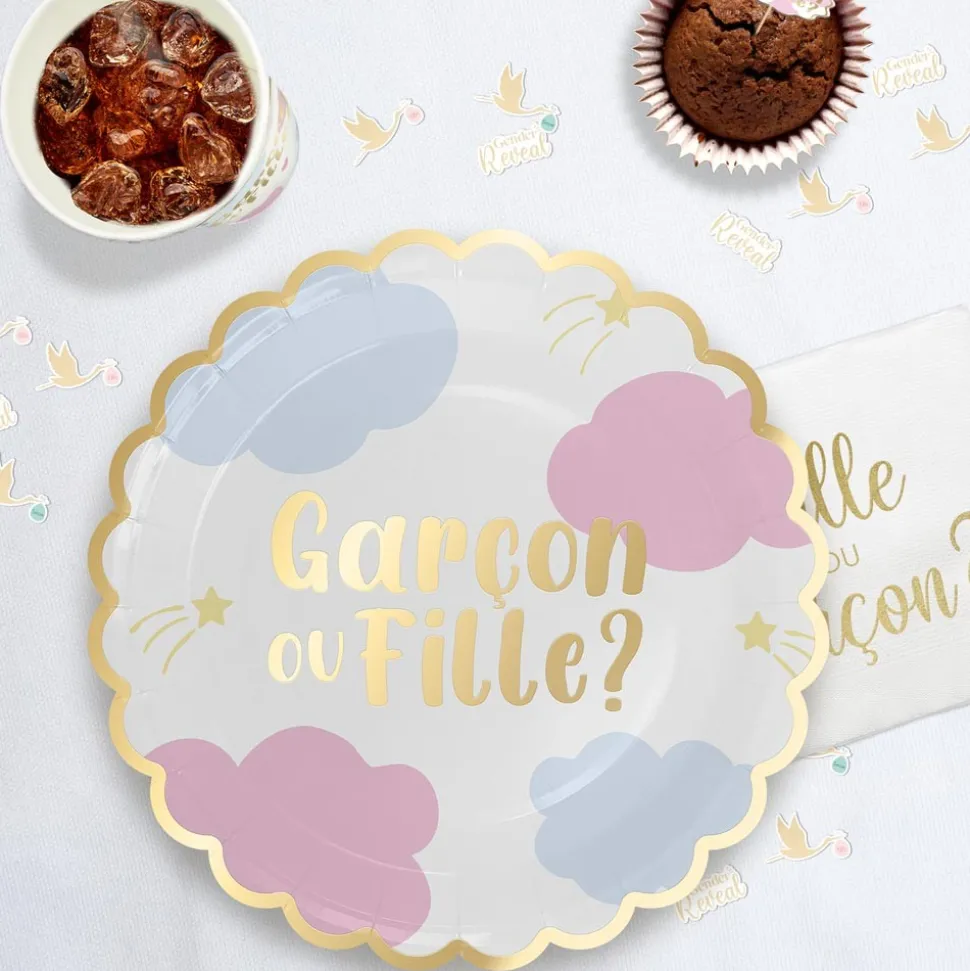 6 ASSIETTES CARTON GENDER REVEAL 23CM BICOLORE