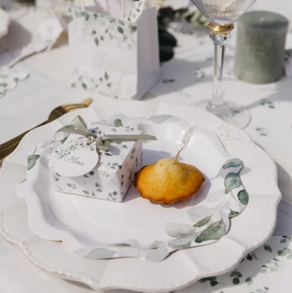 8 ASSIETTES CARTON JARDIN BOTANIQUE 23CM SAUGE