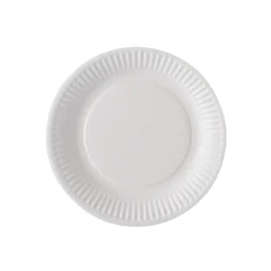 50 ASSIETTES CARTON ROND 23CM BLANC