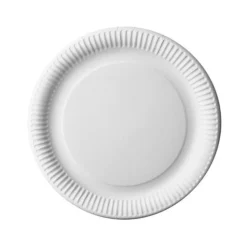 50 ASSIETTES CARTON ROND 18CM BLANC
