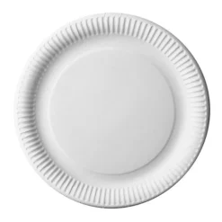 12 ASSIETTES CARTON ROND 29CM BLANC