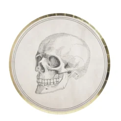 8 ASSIETTES CARTON ROND CRÂNE 22CM