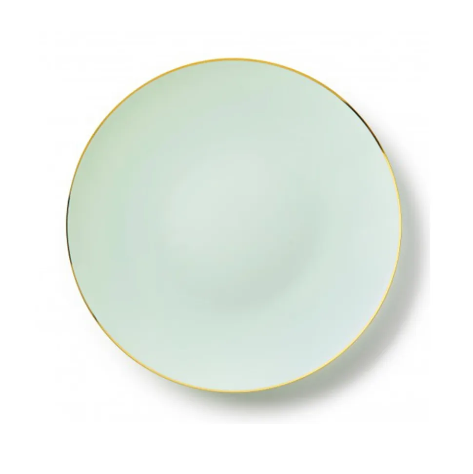 10 ASSIETTES 26CM CLASSIC COLLECTION VERT OR
