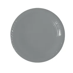 20 ASSIETTES PLASTIQUE RÉUTILISABLE 22CM GRIS