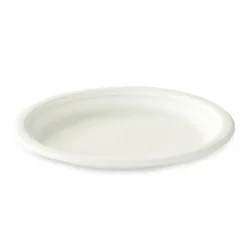 50 ASSIETTES RONDES CANNE À SUCRE 23CM BLANC