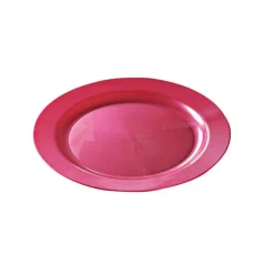 12 ASSIETTES RONDES RÉUTILISABLES 19CM MAGENTA