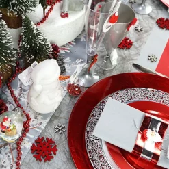 12 ASSIETTES RONDES RÉUTILISABLES 19CM CARMIN