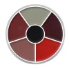 BOITIER 6 COULEURS DE FARD GRAS FX BLESSURES 30G