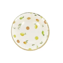 8 BOLS CARTON AGRUME CITRON ORANGE 13CM CRÈME