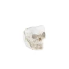 BOUGEOIR TÊTE DE MORT RÉSINE 5X5.5CM BLANC