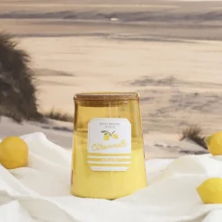 BOUGIE CITRONNELLE POT BAIN DE SOLEIL 16CM
