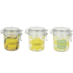 BOUGIE PARFUMÉE CITRONNELLE BOCAL À CLIP 11CM