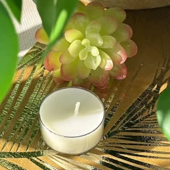 27 BOUGIES CHAUFFE-PLATS NATURELLES 4H BLANC