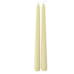 2 BOUGIES FLAMBEAU CONIQUES 25CM 7H SAUGE
