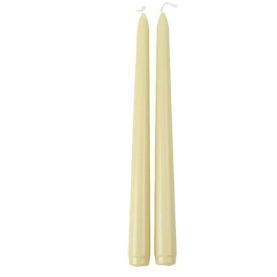 2 BOUGIES FLAMBEAU CONIQUES 25CM 7H SAUGE