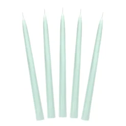 10 BOUGIES FLAMBEAUX CONIQUE 5H 24CM SAUGE