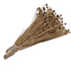 BOUQUET FLEURS SÉCHÉES MARGUERITE 100G NATURE