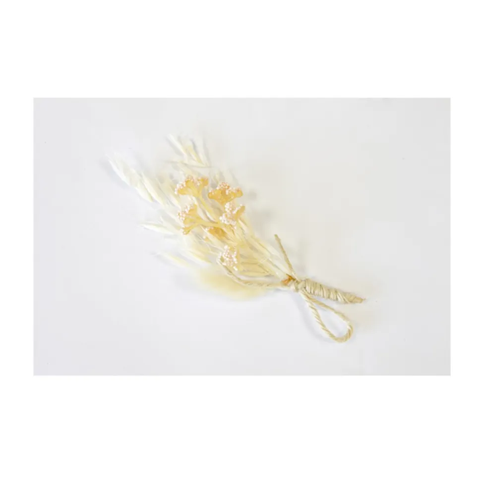 BOUQUET GYPSOPHILE LAGURUS SÉCHÉ 12CM ROSE