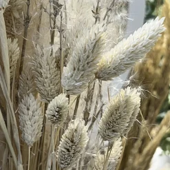 BOUQUET PHALARIS SÉCHÉS MISTY 64CM BLANC