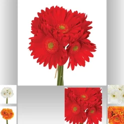 BOUQUET 7 TIGES FLEURS GERBERA 26CM