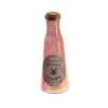 BOUTEILLE HALLOWEEN POISON VENIN VERRE 22.5CM