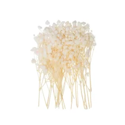 20 BRANCHES GYPSOPHILE 5CM CRÈME