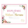 CADRE DIPLÔME MEILLEURE MARRAINE 20X25CM ROSE