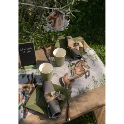 CHEMIN DE TABLE ANNIVERSAIRE HIPPIQUE 30CMX5M