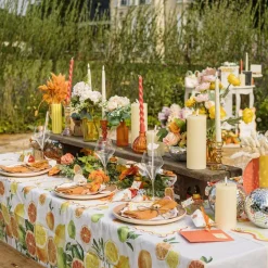 CHEMIN DE TABLE COCKTAIL TUTTI FRUTTI 28CMX5M