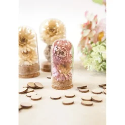 CLOCHE VERRE OUVERTURE 21MM SUPPORT LIÈGE 6X3CM