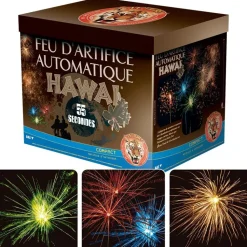 COMPACT HAWAI 28 COUPS 55 SECONDES - F2