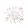 100 CONFETTIS CARTON BAPTÊME PAMPA COTON 3-6CM