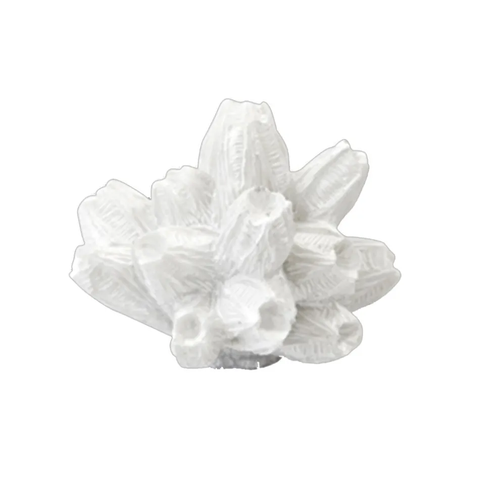 CORAIL RÉSINE FORME FLEUR 5.5X5.5X4CM BLANC