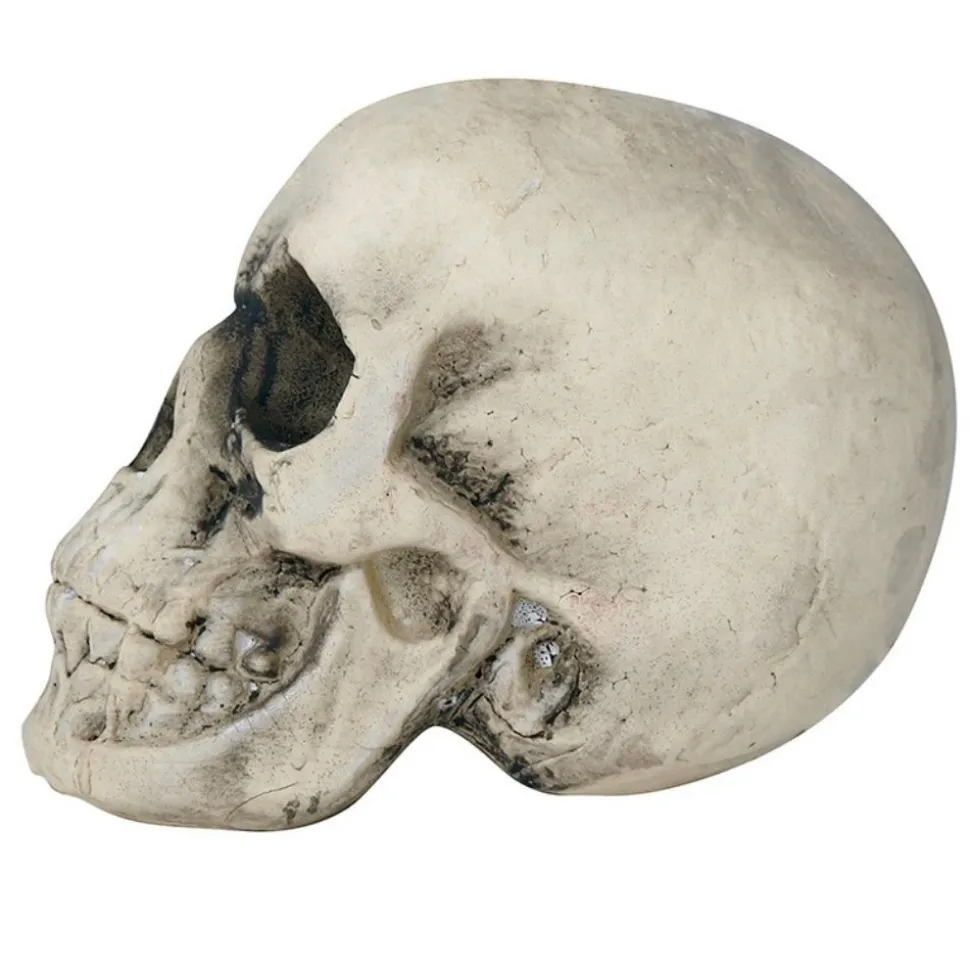CRÂNE HUMAIN DÉCO POLYSTYRÈNE 22CM BEIGE