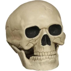 CRÂNE HUMAIN FRACTURÉ MACHOIRE ARTICULÉE 20CM